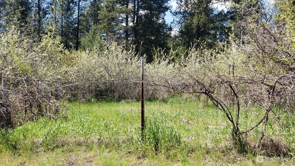 Photo of 25055 Hwy 395 N, Kettle Falls, WA 99141 (MLS # 2474607)