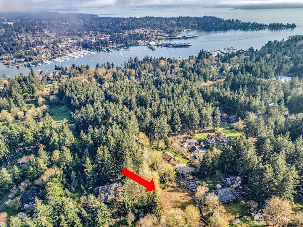 Photo of 9811 NE Rose Trail Lane, Bainbridge Island, WA 98110 (MLS # 2502146)