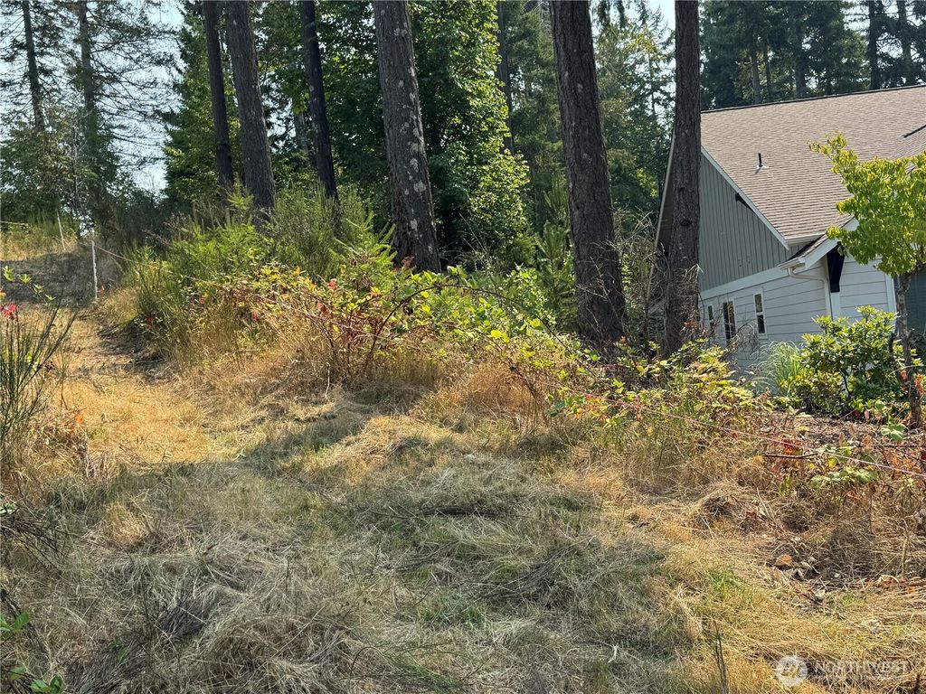 Photo of 0 E Tall Timber Lane, Shelton, WA 98584 (MLS # 2498276)
