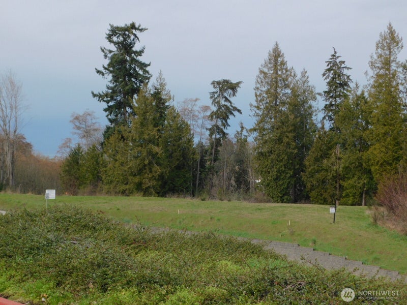 9999 Highway 101