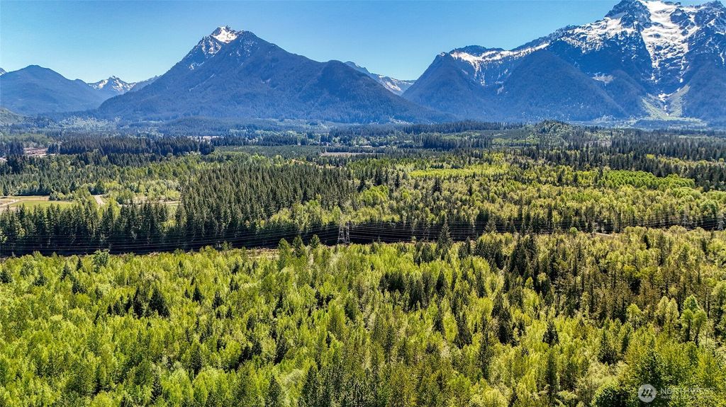 Photo of 462 XX Giles Drive, Darrington, WA 98241 (MLS # 2453460)