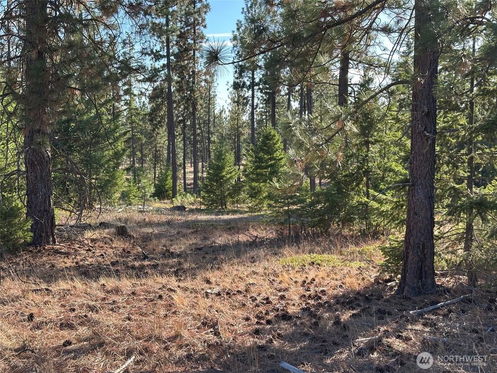 Photo of 0 000 Piper Lane, Goldendale, WA 98620 (MLS # 2463840)