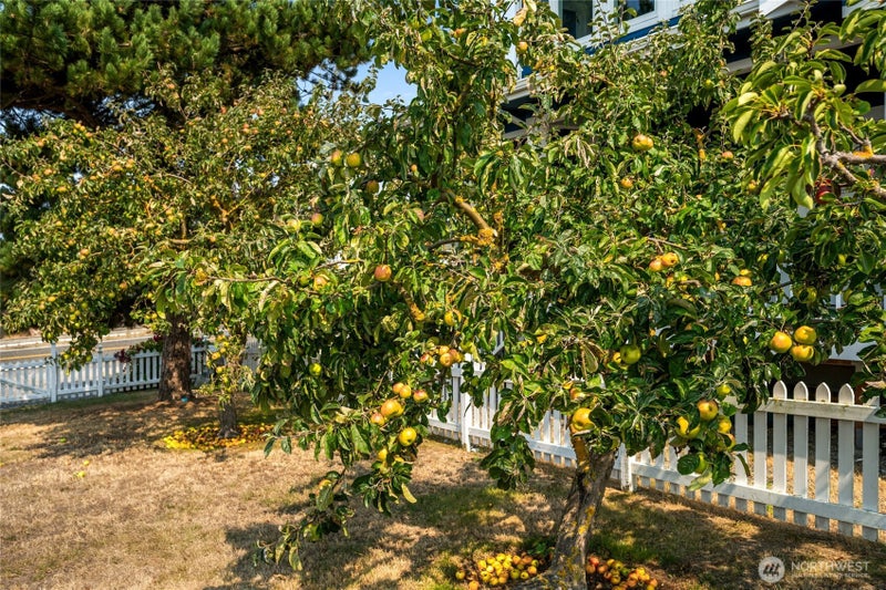 3962 Saltspring Drive