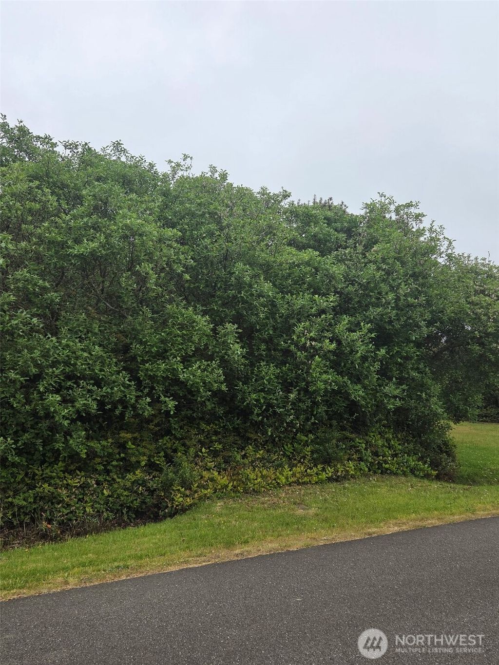 Photo of 392 S Wynoochee Drive SW, Ocean Shores, WA 98569 (MLS # 2528282)
