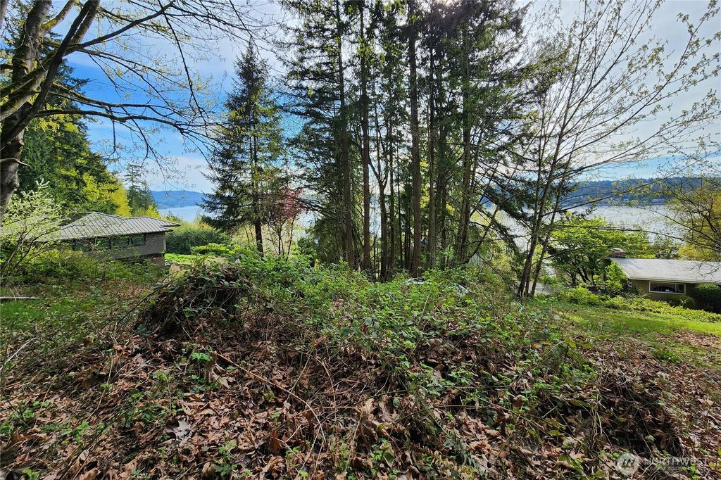 Photo of 0 E Lake Sammamish Parkway NE, Sammamish, WA 98074 (MLS # 2522692)