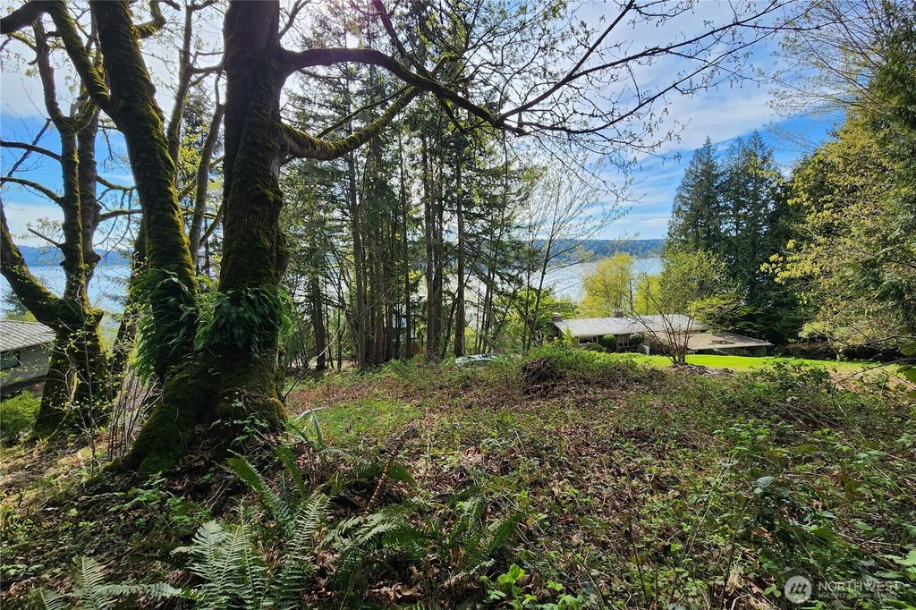 Photo of 0 E Lake Sammamish Parkway NE, Sammamish, WA 98074 (MLS # 2522692)