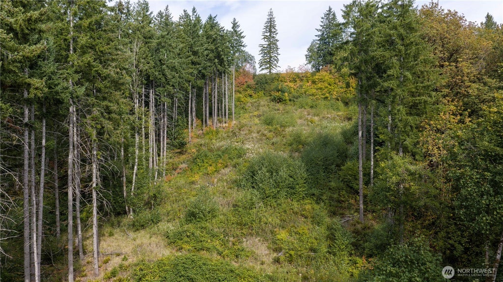 Photo of 265 Talon Court, Kalama, WA 98625 (MLS # 2583802)