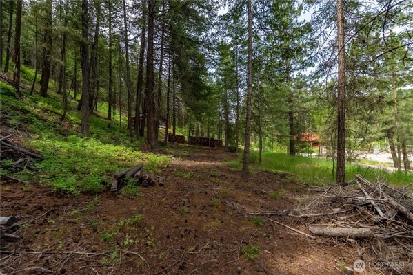 7 HOWERTON RD, TWISP, WA 98856 - Image ff8d26cfd73613e15746d045dd3125b0/2913168832