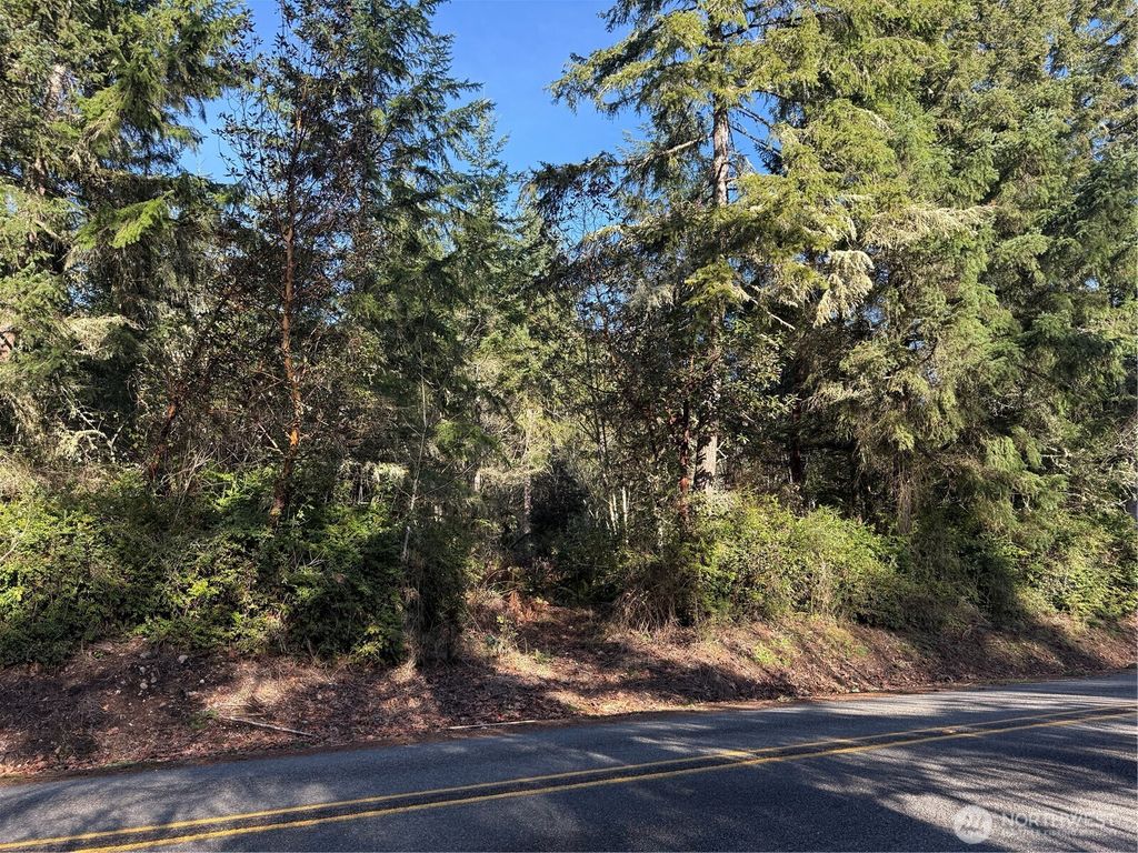 Photo of 7515 Whiteman Road SW, Longbranch, WA 98351 (MLS # 2480819)