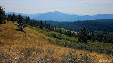 Photo of 35 XX Addy Cedonia Road, Hunters, WA 99137 (MLS # 2579082)