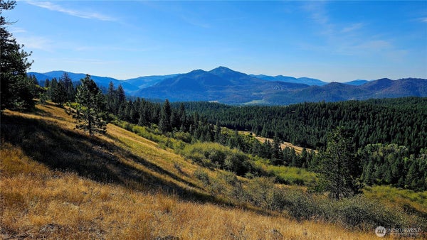 ADDRESS PRIVATE, HUNTERS, WA 99137 - Image ff9950da8de5c304233cd4a2e641069e/2912342781