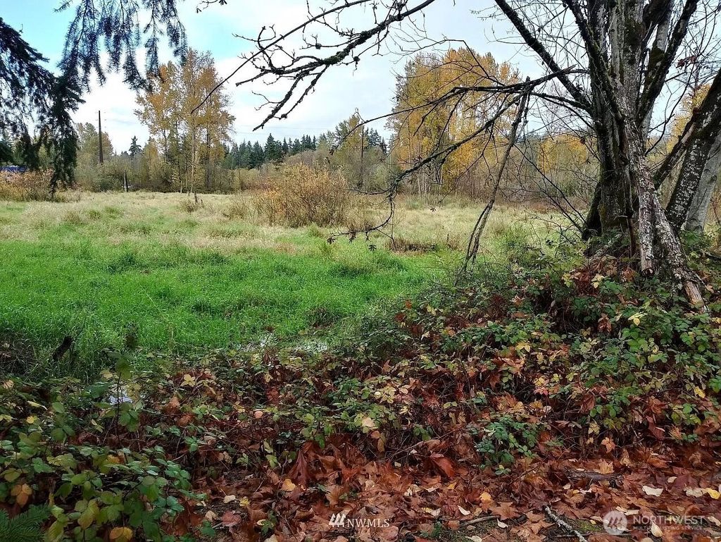 Photo of 539 148th Street NE, Bellevue, WA 98007 (MLS # 2532708)