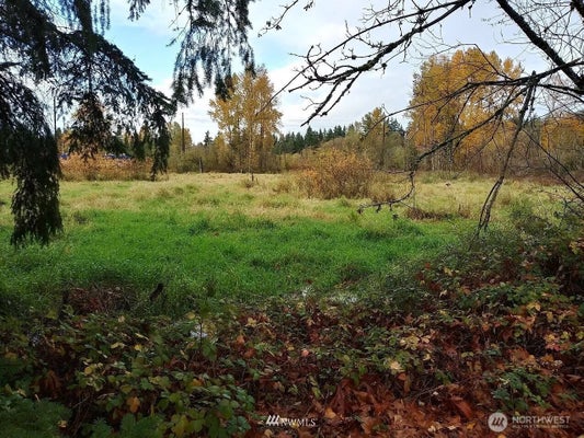 539 148TH AVE NE, BELLEVUE, WA 98007 - Image ff9d41e4f69b3e482d60713064b108c8/4103202975