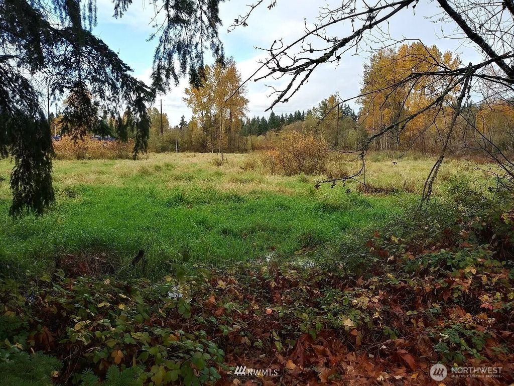 Photo of 539 148th Street NE, Bellevue, WA 98007 (MLS # 2532708)