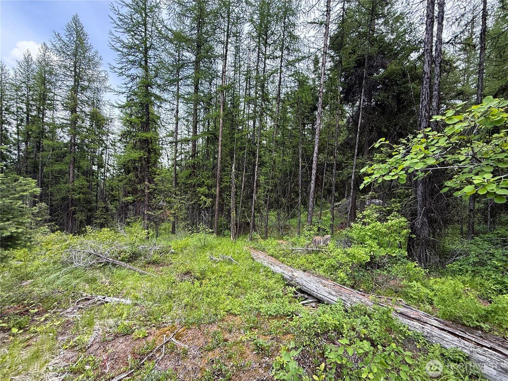 Photo of 0 TBD Mule Deer Road, Republic, WA 99166 (MLS # 2546700)