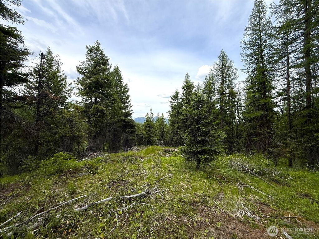 Photo of 0 TBD Mule Deer Road, Republic, WA 99166 (MLS # 2546700)
