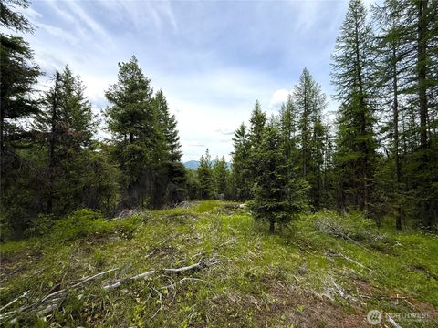 Photo of 0 TBD Mule Deer Road, Republic, WA 99166 (MLS # 2546700)