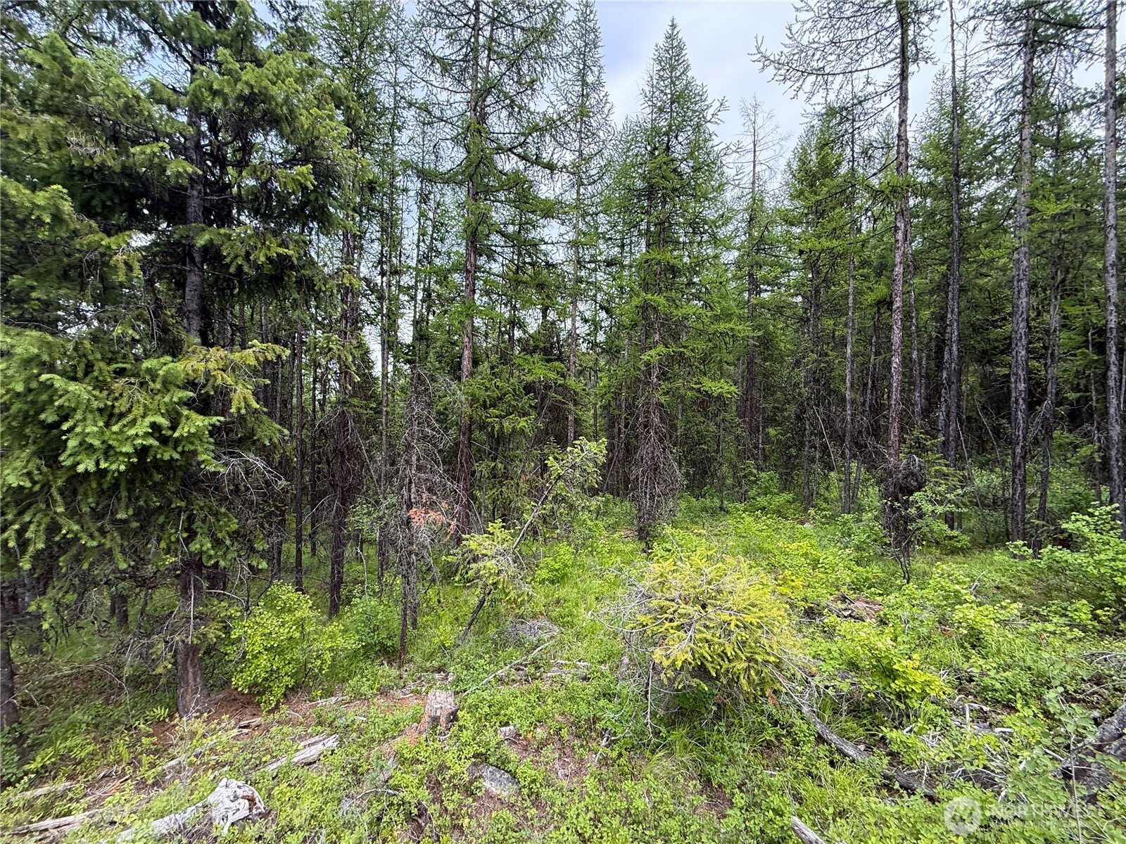 0 Mule Deer Road