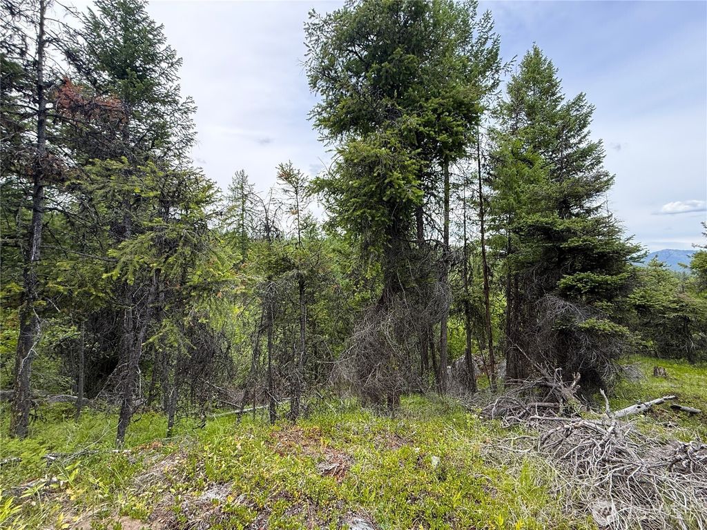 Photo of 0 TBD Mule Deer Road, Republic, WA 99166 (MLS # 2546700)