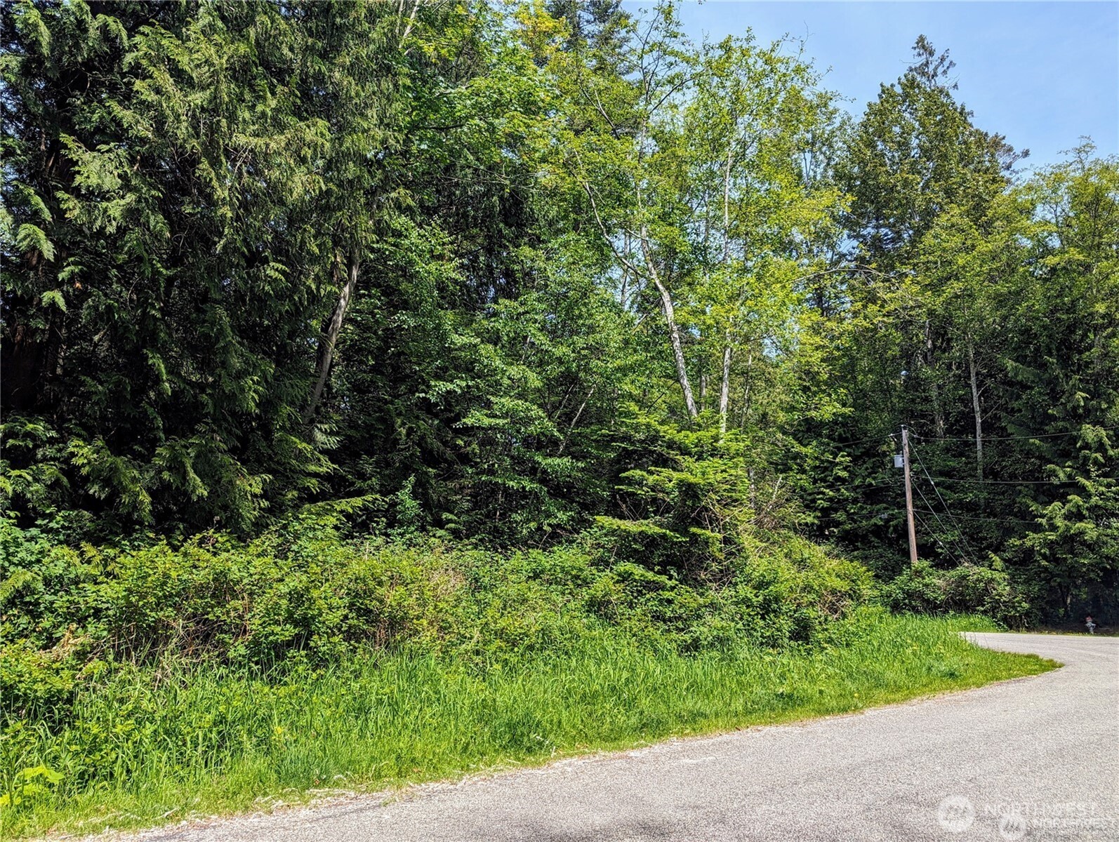 1987 Cedar Park Drive