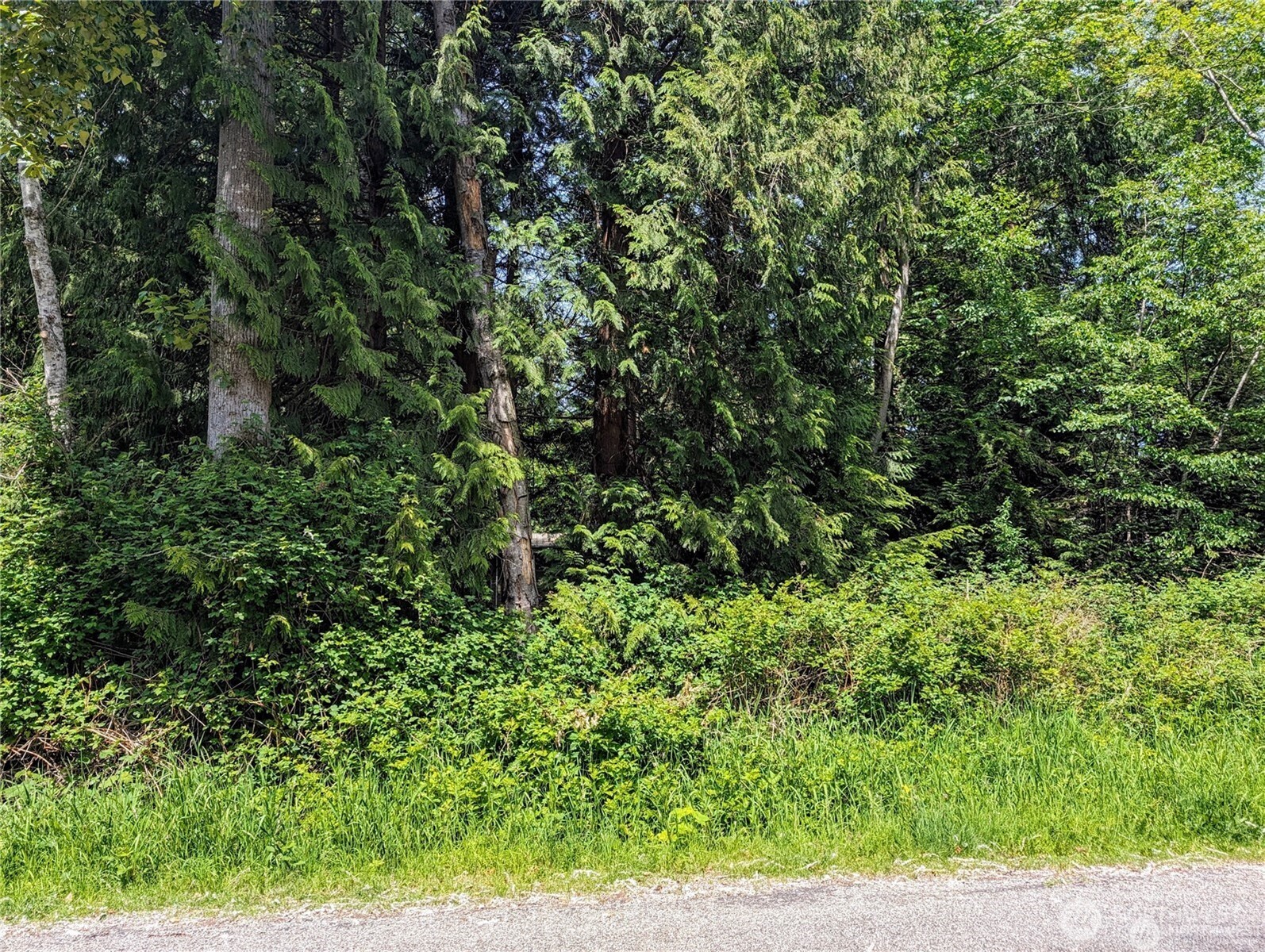 1987 Cedar Park Drive