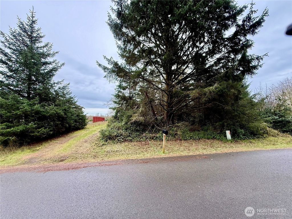 Photo of 126 Olympic View Avenue NE, Ocean Shores, WA 98569 (MLS # 2490397)