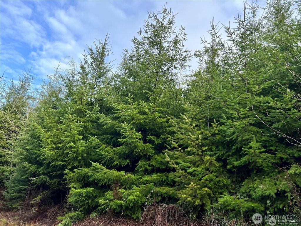 Photo of 0 Hwy 101, Cosmopolis, WA 98537 (MLS # 2475832)