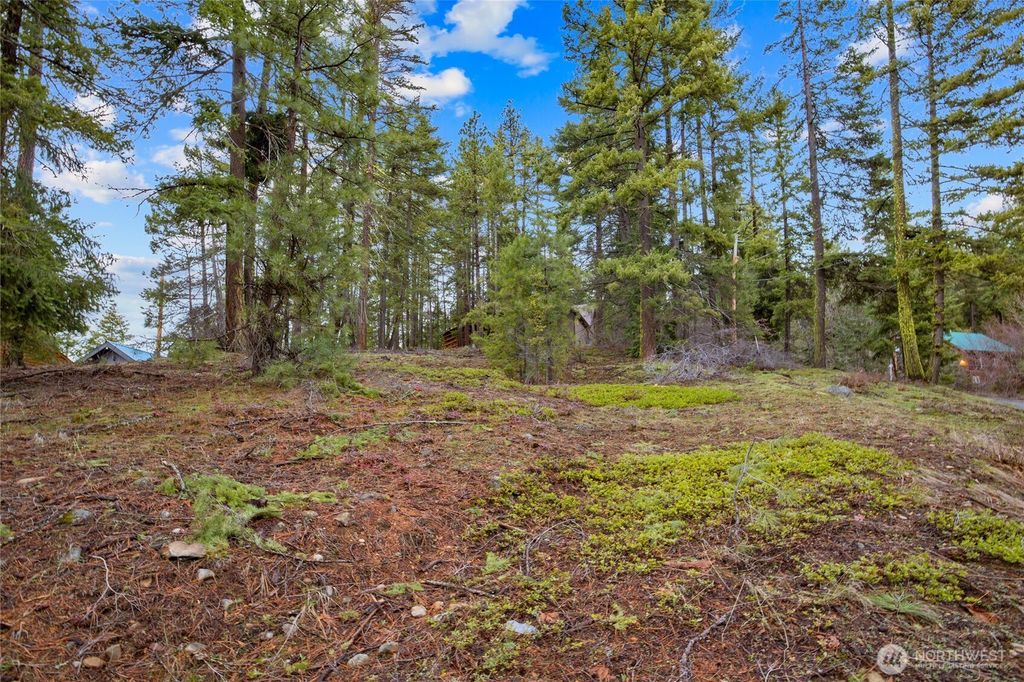 Photo of 0 Lot 12 Pine Loch Sun Drive, Ronald, WA 98940 (MLS # 2491318)