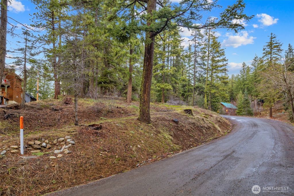 Photo of 0 Lot 12 Pine Loch Sun Drive, Ronald, WA 98940 (MLS # 2491318)