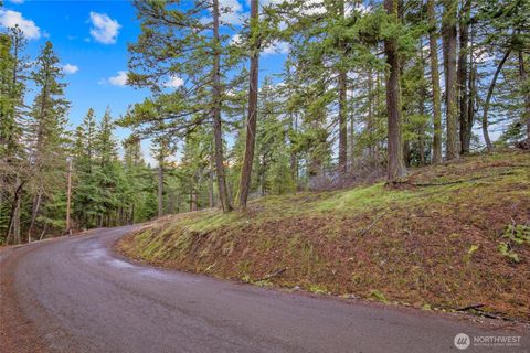 Photo of 0 Lot 12 Pine Loch Sun Drive, Ronald, WA 98940 (MLS # 2491318)