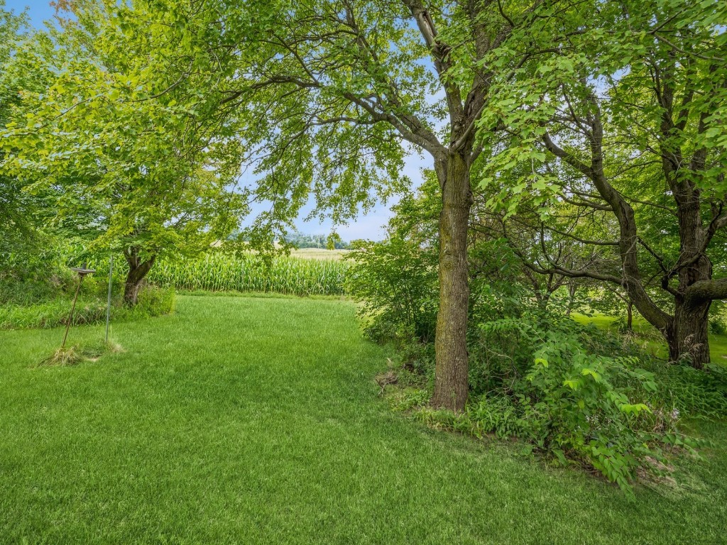 5555 Troy Mills Road