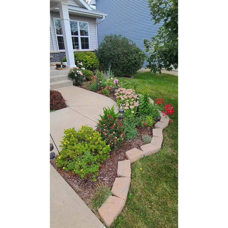 868 Mccollister Court