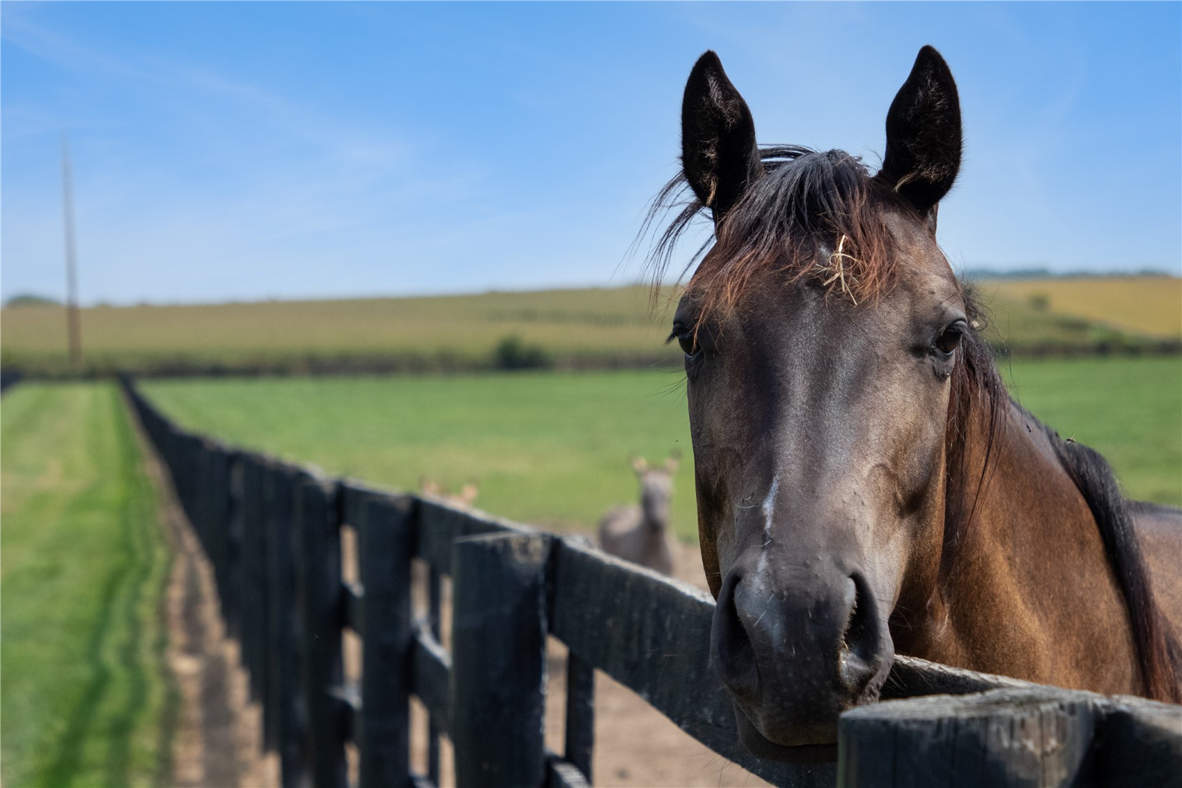 5901 Williams Boulevard SW