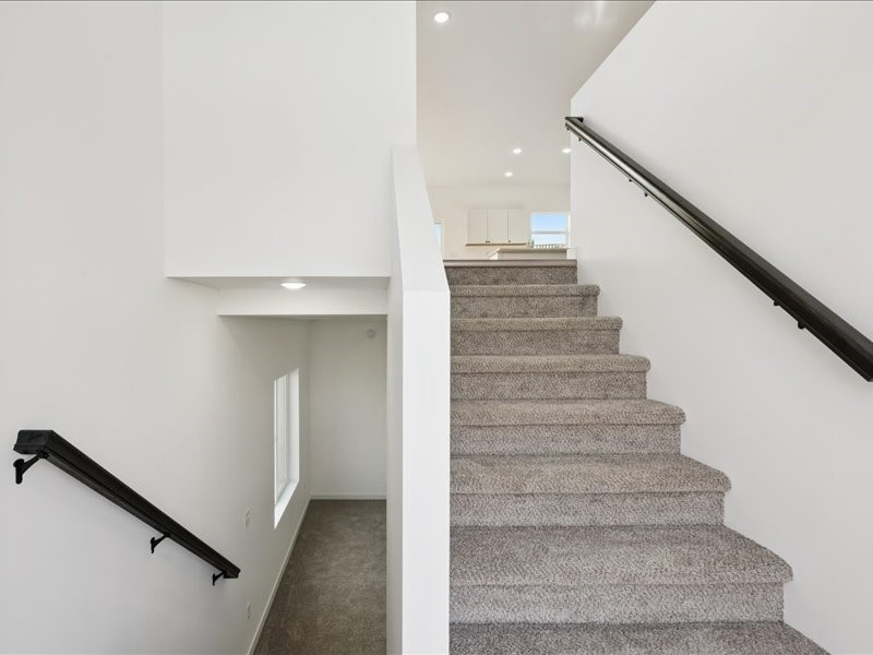 3111 Ginkgo Lane
