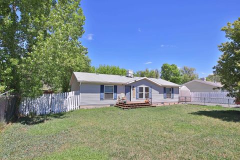Photo of 4055 Pinion Street, Collbran, CO 81624 (MLS # 20262342)