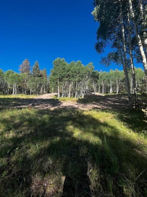 1255 SPRUCE RD, CIMARRON, CO 81220 - Image 049d47eddb1bb150d942f418ed0d63fa/4200301346