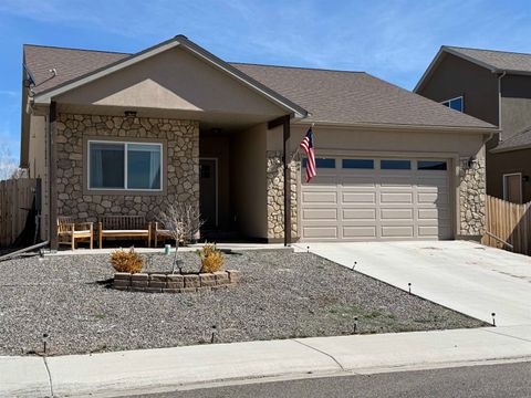 Photo of 1364 Weminuche Avenue, Montrose, CO 81401 (MLS # 20261279)