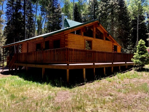 Photo of 375 Balsam Road, Cimarron, CO 81220 (MLS # 20264220)