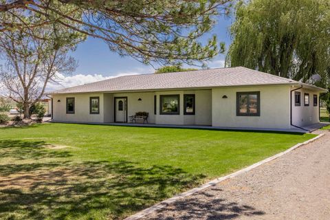 Photo of 64372 Jig Road, Montrose, CO 81401 (MLS # 20262091)