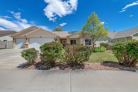 Photo of 786 Comstock Drive, Fruita, CO 81521 (MLS # 20261923)