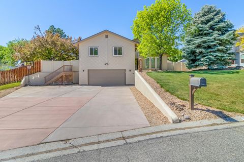 Photo of 2279 Rio Linda Lane, Grand Junction, CO 81507 (MLS # 20261920)