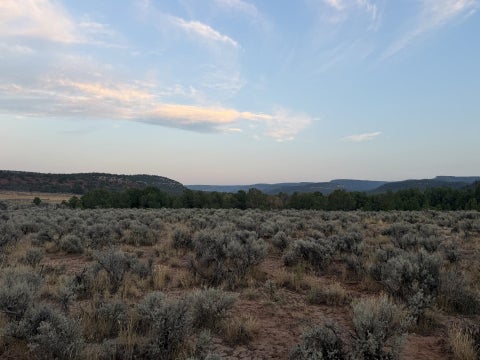 Photo of TBD S 9 8/10 Road, Glade Park, CO 81523 (MLS # 20263897)