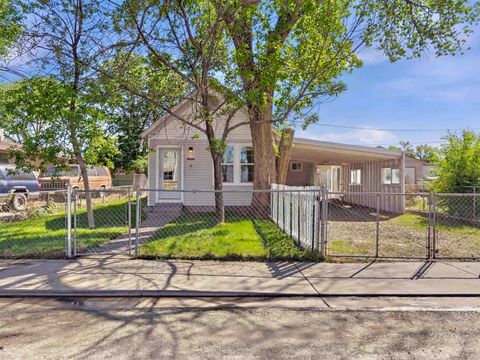 Photo of 252 S Peach Street, Fruita, CO 81521 (MLS # 20261367)