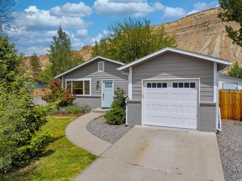 Photo of 520 Rosa Street, Palisade, CO 81526 (MLS # 20261976)