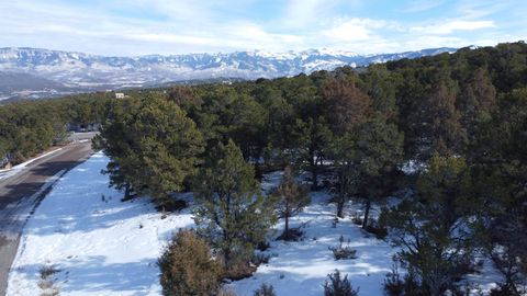 Photo of 30 Pinon Road West, Ridgway, CO 81432 (MLS # 20260559)
