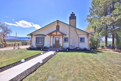 Photo of 58749 OE Road, Collbran, CO 81624 (MLS # 20261962)
