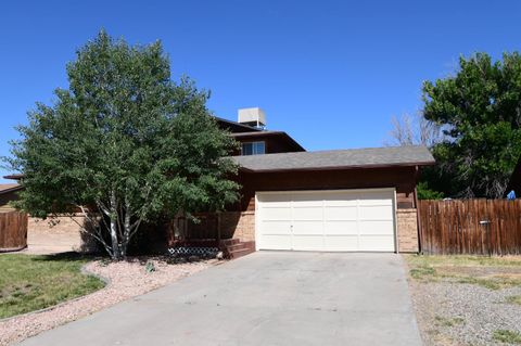 Photo of 643 Pinewood Court, Grand Junction, CO 81504 (MLS # 20262333)