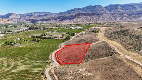 Photo of 3750 Horse Mountain Road, Palisade, CO 81526 (MLS # 20261897)