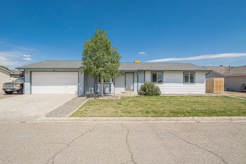 Photo of 38412 Dry Fork Way, Grand Junction, CO 81504 (MLS # 20262201)