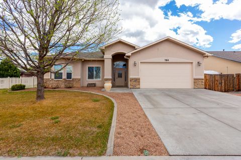Photo of 784 Crystal Way, Fruita, CO 81521 (MLS # 20261626)